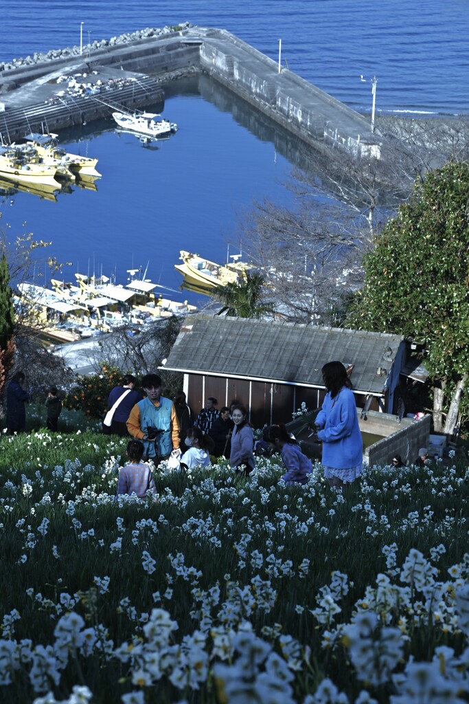 白い丘で逢いましょう　⑤。。。！