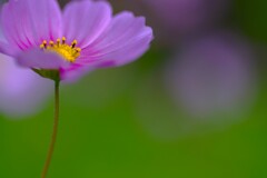 この秋をありがとう　②。。。！