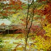 秋の玉川　①。。。！