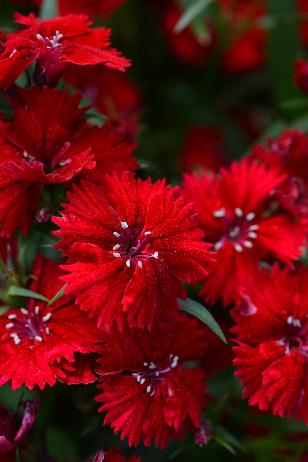 情熱を漂わせ。。。！