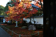 山門をくぐると。。。！