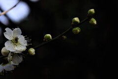 すくすく育て　②。。。！