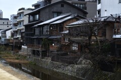 鴨川沿い　➁。。。！