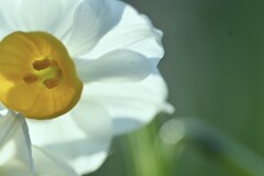 優しさと刹那さと心強さと　①。。。！