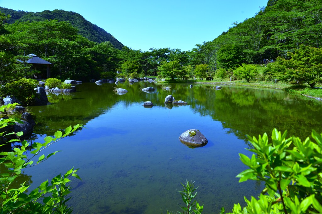 光と青紅葉　①。。。！