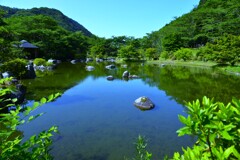 光と青紅葉　①。。。！
