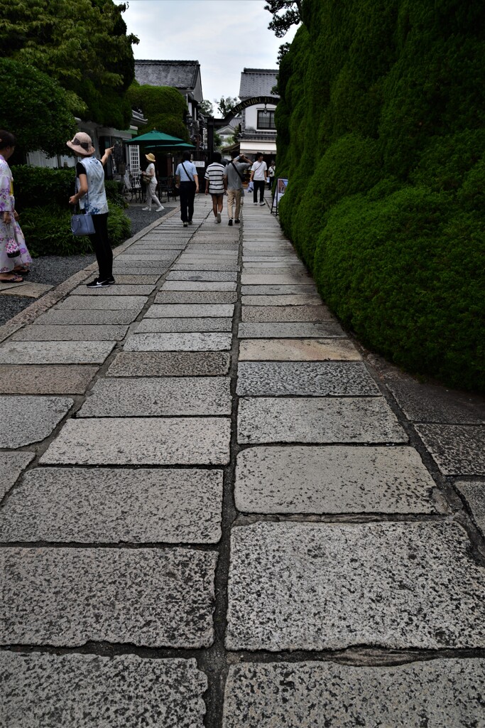 夏旅歩き　⑥。。。！