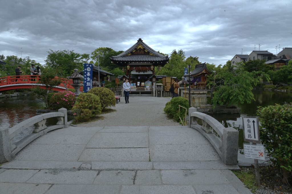 神秘の神泉苑　⑤。。。！