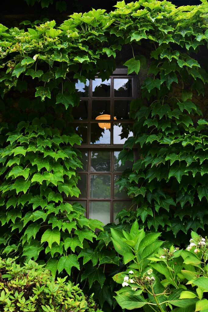 夏旅歩き　①。。。！