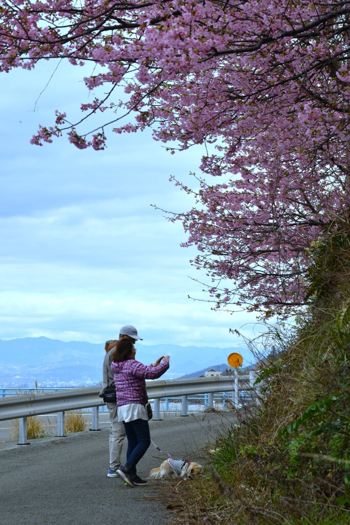 春ロードを走る　➂。。。！
