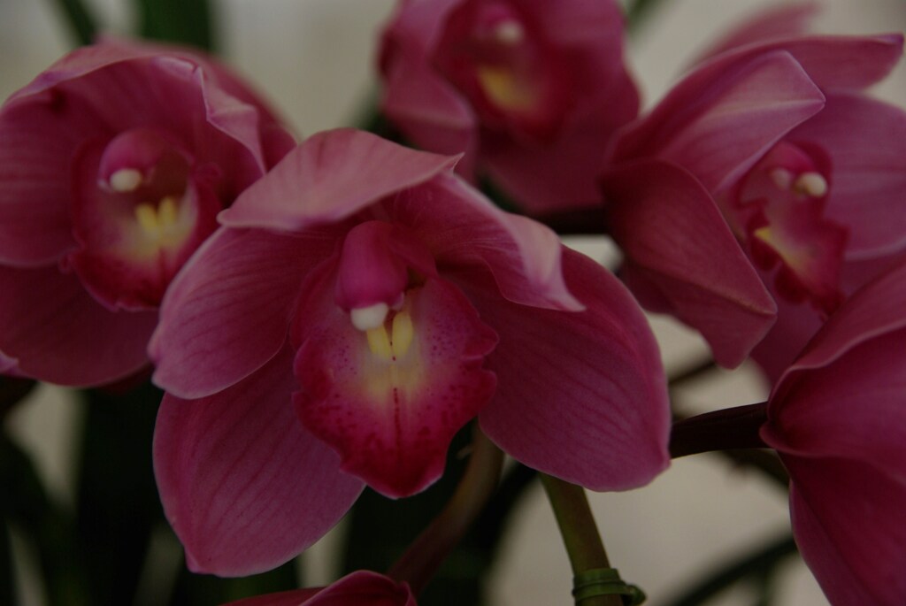 秋の花束　①　。。。！