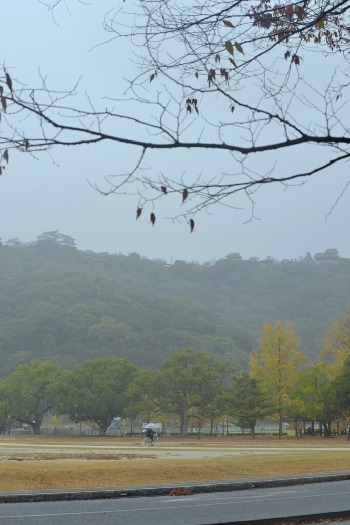 雨の金曜日　①。。。！
