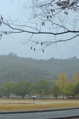 雨の金曜日　①。。。！