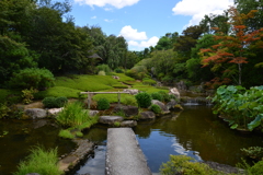 退蔵院の夏　②。。。！