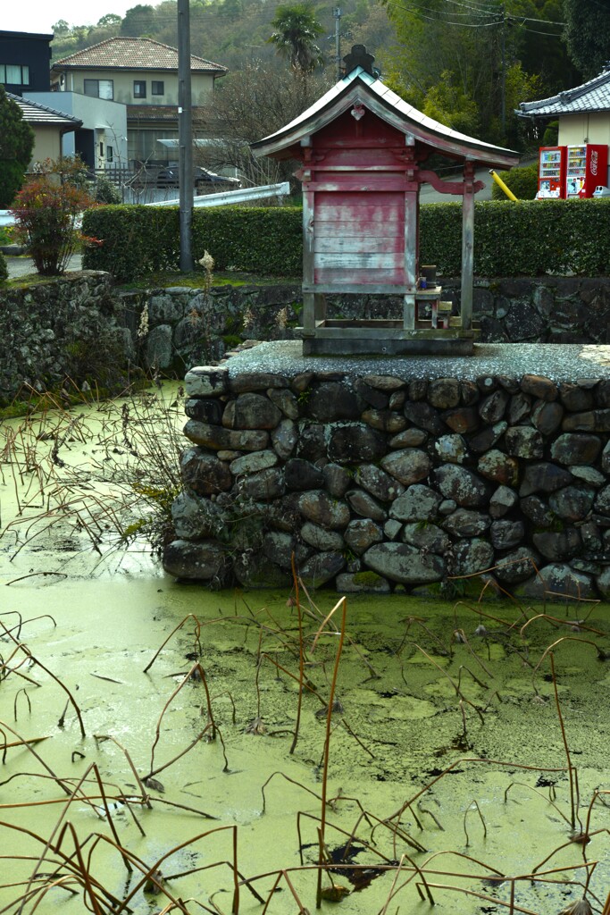 山麓の寺　➂。。。！