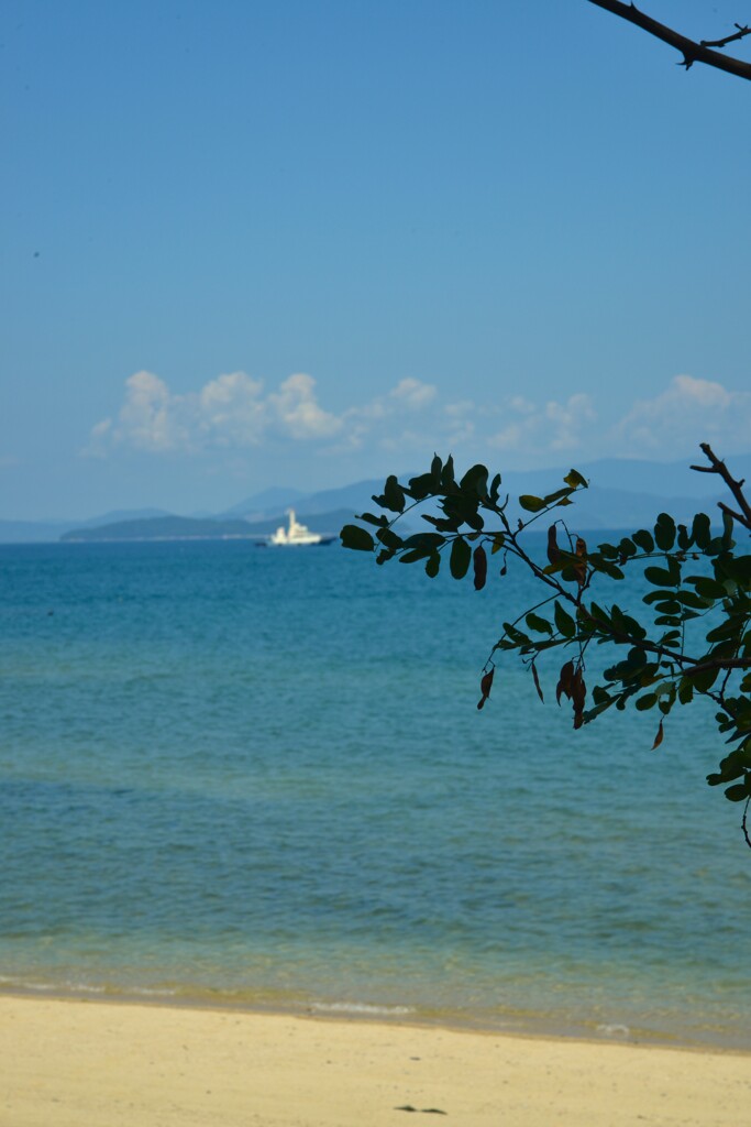 砂浜に波音だけ　②。。。！