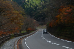 高原の深秋　①。。。！