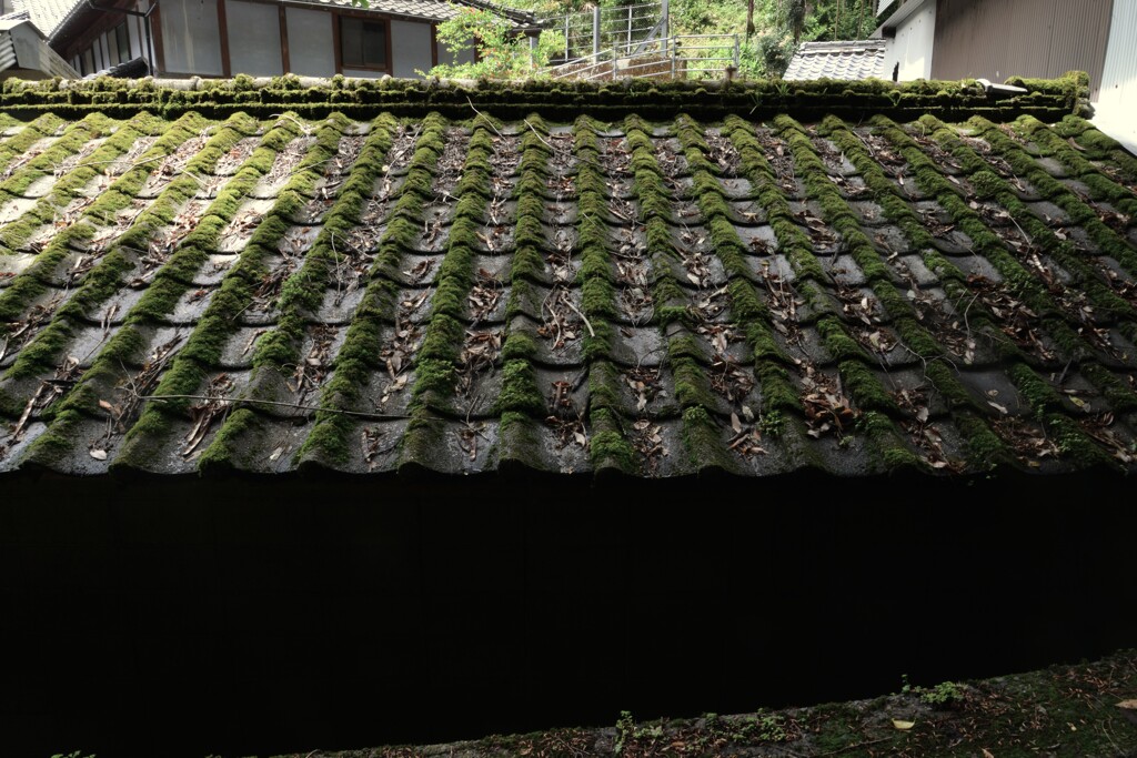 山郷の雨あがる　⑤。。。！