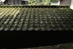 山郷の雨あがる　⑤。。。！