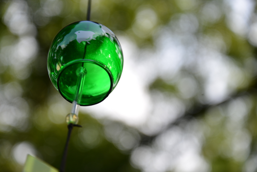 美しく涼やかに　④。。。！