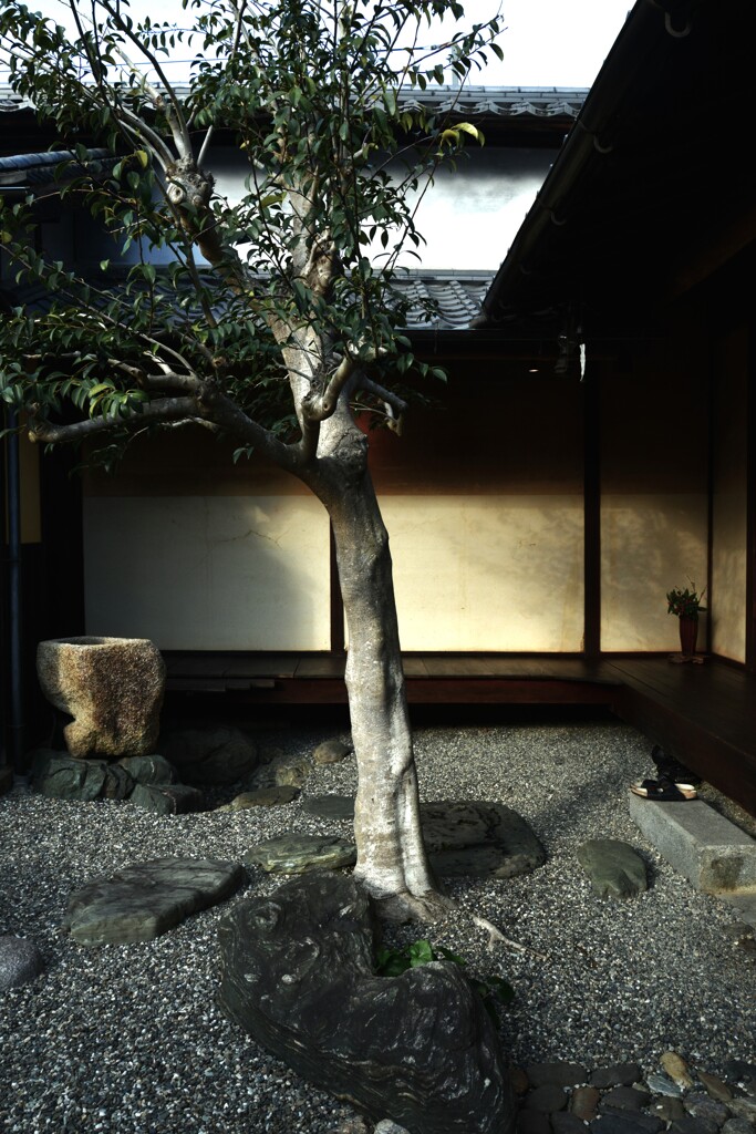 時の出会い　➂。。。！