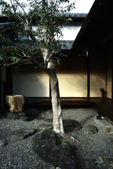 時の出会い　➂。。。！