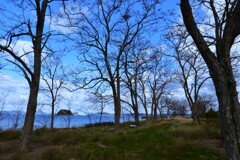 冬の海　⑤。。。！