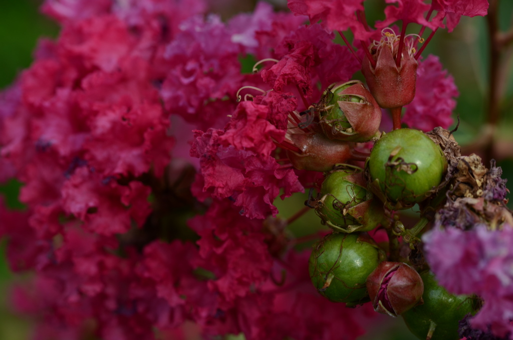 情熱の赤。。。！