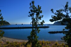 中土佐の海　➂。。。！