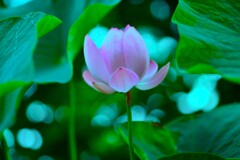この季節も過ぎてゆく　①。。。！