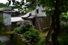 山郷の雨あがる　⑥。。。！