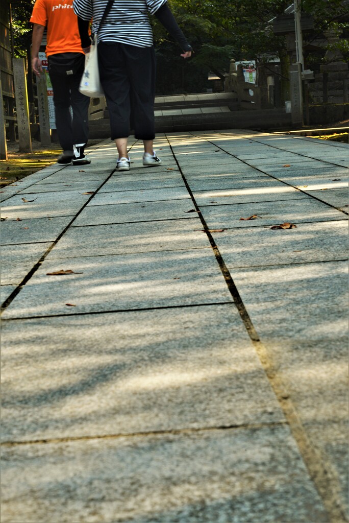 石鎚神社．．木漏れ日参道。。。！