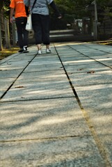石鎚神社．．木漏れ日参道。。。！