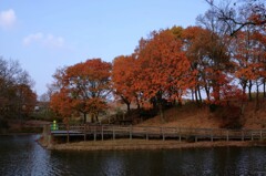 湖畔は紅葉　。。。！