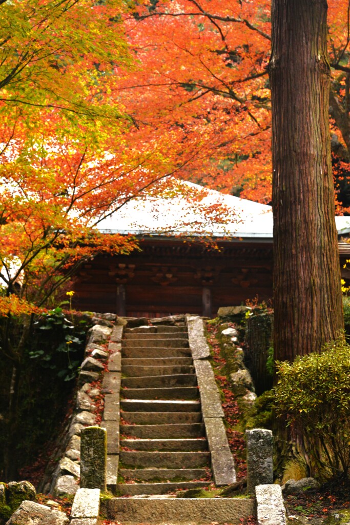 古刹②　西山興隆寺　④。。。！