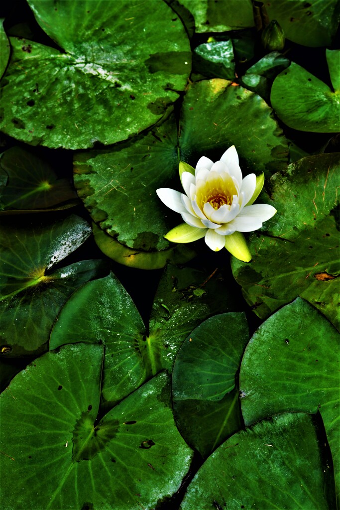 憂いを漂わせ　①。。。！