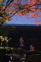 秋を刻む　。。。！