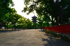 朝の東寺　⑥。。。！