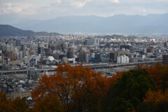 見下ろす松山　➂。。。！