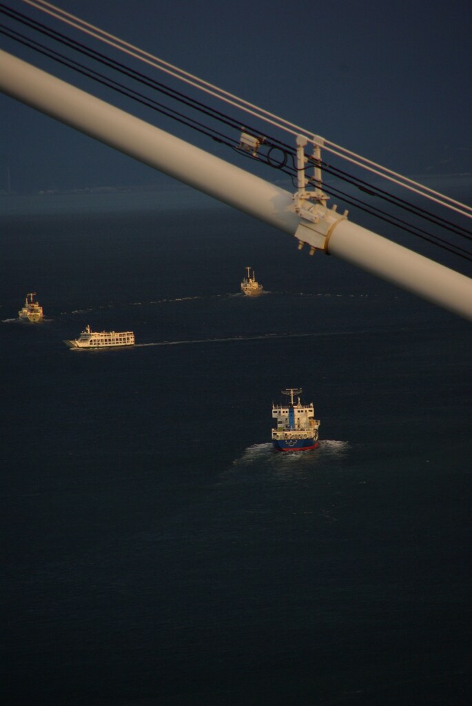 忙しく行き交う。。。！