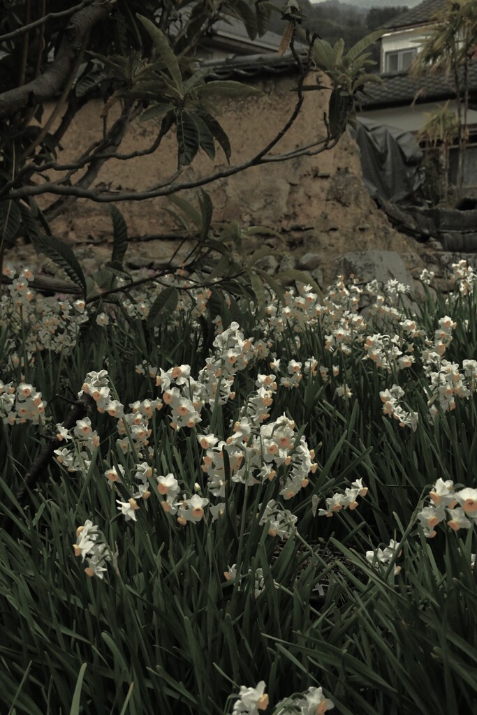 残酷な冬　②。。。！