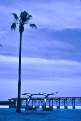 夏が来る　②。。。！