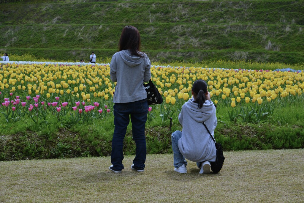 春の讃歌　⑥。。。！