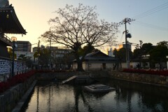夕暮れの四天王寺　④。。。！