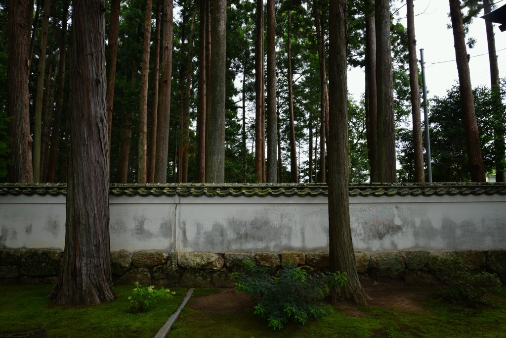 漂う静寂　①。。。！