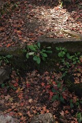 少しばかりの秋の温もり。。。！