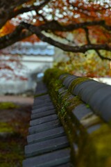 静寂の秋に浸る　②。。。！