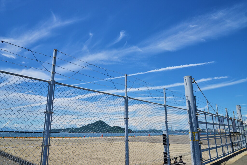 フェンス越しの夏　①。。。！