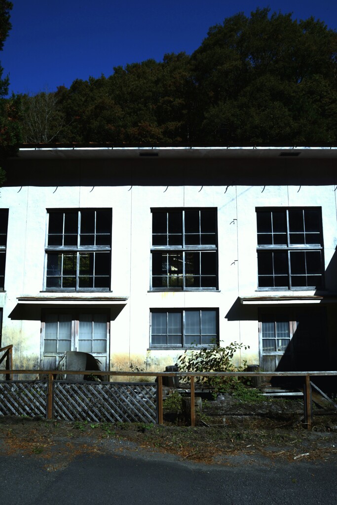 秋色の廃校跡　➂。。。！
