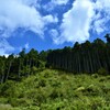 秋空に延びる緑の風景。。。！
